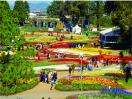 canberra-floriade-southern-highlands