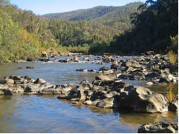 murrumbidgee-river-corridor