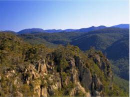 namadgi-national-park