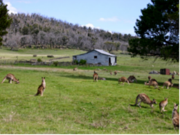 tidbinbilla-nature-reserve